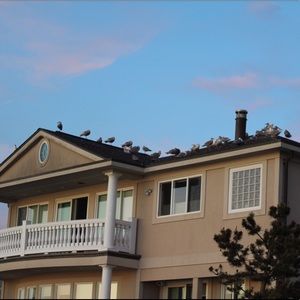 Meet your Posher, Jake